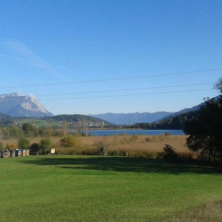 Ferienwohnung Millonigg Vorderberg Esterno foto