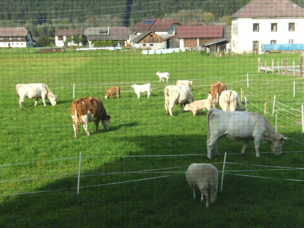 Ferienwohnung Millonigg Vorderberg Esterno foto