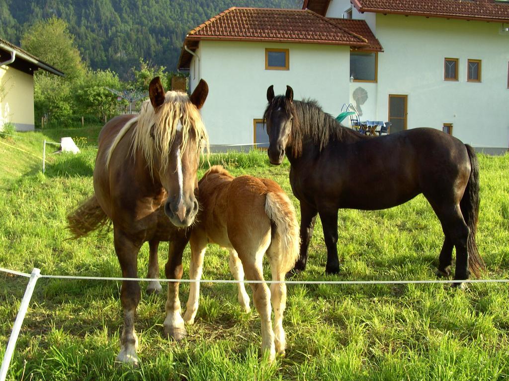 Ferienwohnung Millonigg Vorderberg Camera foto