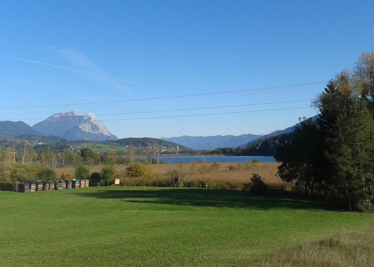 Ferienwohnung Millonigg Vorderberg Esterno foto